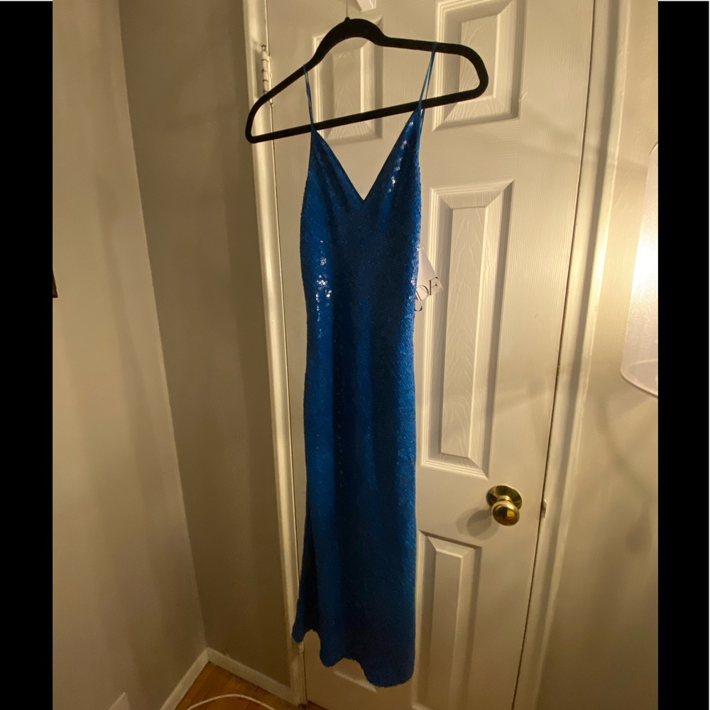 Diane Von Furstenberg blue sequin gown!